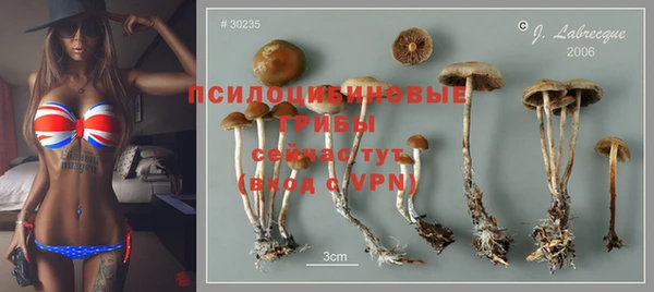 первитин Алексеевка